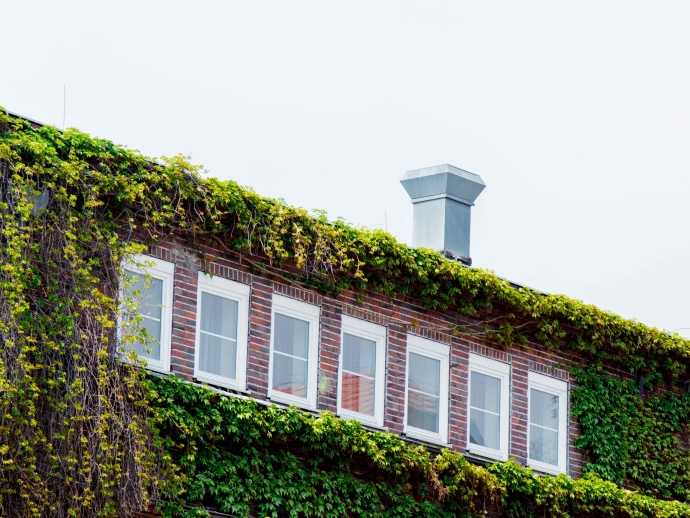 Commercial Green Roof Agriculture: Urban Farming Opportunities in DFW