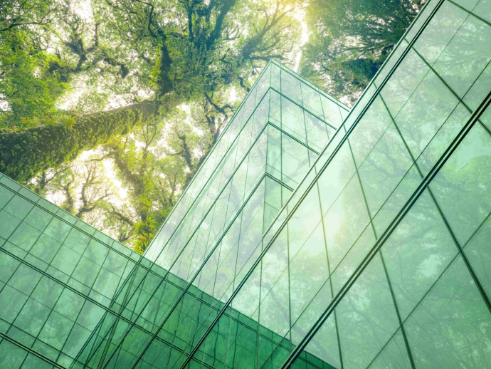 LEED Certification Through Green Roofing: Guide for DFW Commercial Properties