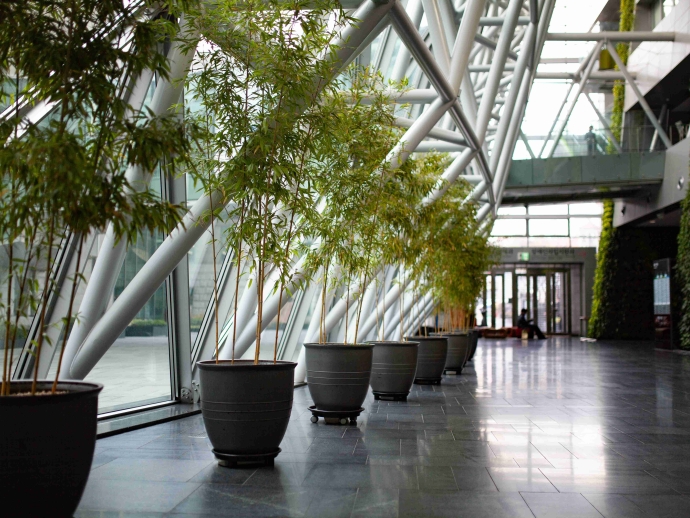 Green Building Certification: How Solar Contributes to LEED Points